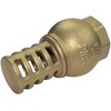 AERZETIX - C53434 - Check valve with one-piece sieve -