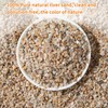 Tinyunicorn 5lb Mixed Sand Rocks Pebbles Pumice Potting Soil Amendment