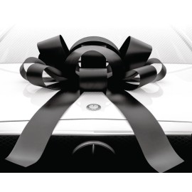 CarBowz Magnetic Car Bow Large 4ft Black Color