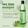 Xpel Hair Care Tea Tree Moisturising Shampoo and conditioner 400ml
