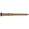 The Hillman Group 7224 Brass Round Head Wood Screw, 8