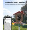Smart Bird Feeder with Camera Outdoor: Solar Birdfeeder Cam for