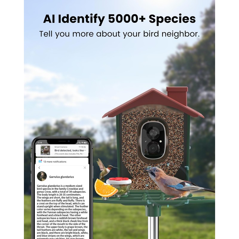 Smart Bird Feeder with Camera Outdoor: Solar Birdfeeder Cam for