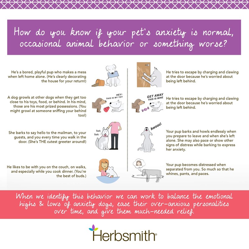 Herbsmith Calm Shen Herbal Blend for Dogs & Cats, 90