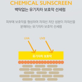 Partner company Elon Sun Serum Sun Cream + Sample Set Waterproof White Taste / 일론 선세럼 선크림+샘플set 워터프루프 백탁X 최강산뜻 유기자차