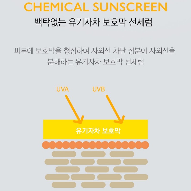 Partner company Elon Sun Serum Sun Cream + Sample Set