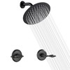 LIWEIKE 2 Handle Shower Faucet Set, Matte Black Two Handles