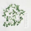 Urban Shop Rose Vine Photo Clips with Lights, Green