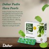 Dabur Pudin Hara Pearls - Daily Digestive Care Supplements for