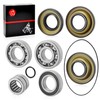 Rear Differential Bearing & Seal KIT for Honda Rincon 650