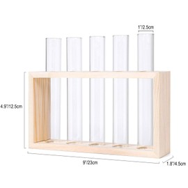Hydroponic Plant Stand, Wall Hanging Test Tube Planter, Plant Terrarium with Wooden Stand and 5 Test Tubes, Tabletop Terrarium Planter for Home Office Decoration (Beige)