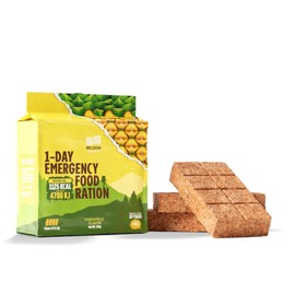 Emergency Food Supply - Pineapple High Energy Bar Bisquit 20 Years Shelf Life, Mre Meals Military 2024 Rations Survival Food - Survival 1-Day Ration Camping Hiking Supplies