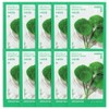 (10 sheets)Innisfree Energy Mask Centella asiatica / (10매)이니스프리 에너지 마스크 병풀