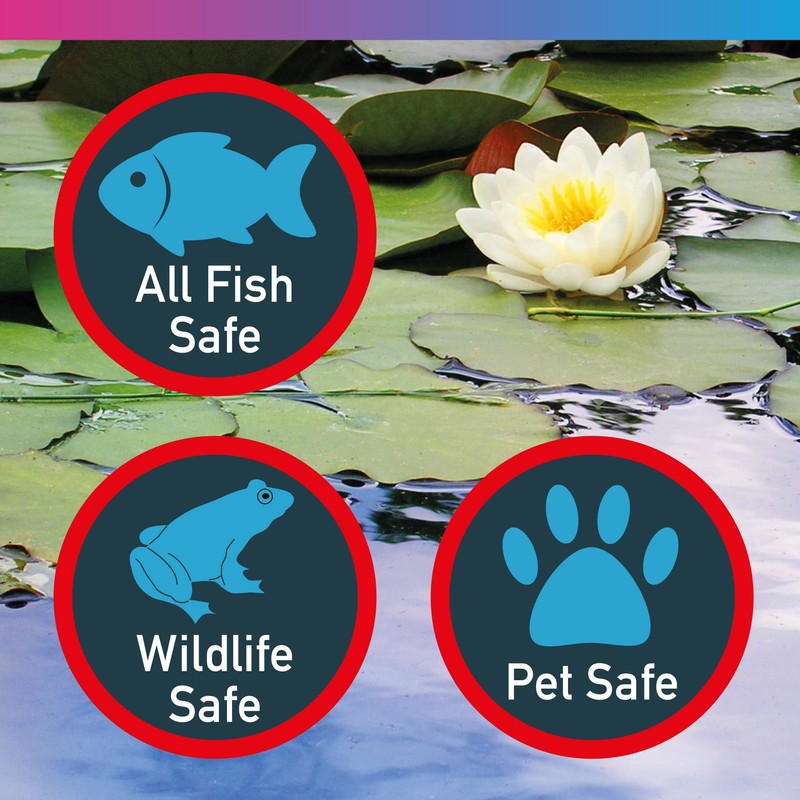 NT Labs Pond Blanketweed Balance, Prevents Blanketweed Growth, Natural Ingredients