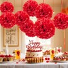 KUNYYI Red Tissue Paper Pom Poms Flowers Balls 12 Pcs