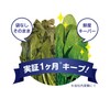 [Keep Vegetables Fresh] Vegetable Storage Bags, Mamara Clean, Freshness Keeper,