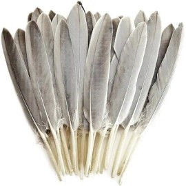 120pcs Goose Cochettes Feather 10-15cm Bulk Natural for Wedding Party Halloween Decorations DIY Cosplay Gothic Costumes CraftsColor: Natural, Feather Size (L x W): 4-6Inch/120Pcs