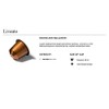 Nespresso Livanto Flavor Coffee 30 Capsules Pods 3 Sleeves