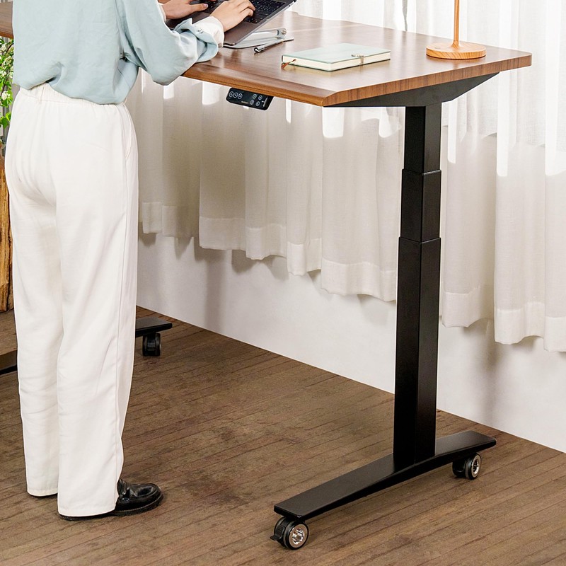 FLEXISPOT W3 Casters (Set of 4), Insert, Stopper, Screw Type,