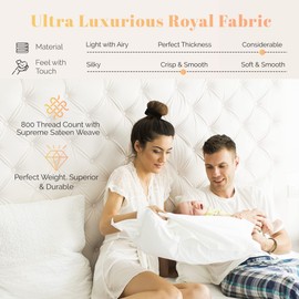 Ashton Pillowcases Premium 800-Thread-Count Egyptian Feel 100% Cotton Pillowcases - Soft, Breathable Silver King Size 2 Pc Pillowcase, Smooth Sateen Weave, Extra Long Staple Cotton Pillow Covers