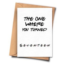 Funny Birthday Card for 17th Birthday for Sister From Friend for Her Aunt Son (A5-5.8x8.3inch - 14.8x21cm) With Envelope