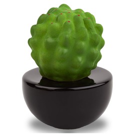 Lively Breeze Frank Cactus, Non-Electric Ceramic Diffusers for Essential Oils and Aromatherapy Fragrance, White Ceramic Diffusers in Car or Desk Office Decor and Small Bathroom at Home, Black vase