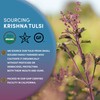 Worldwide Botanicals Organic Holy Basil Tea, 8oz - Tulsi Krishna