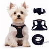 Dog Harness and Leash Set, XXS No Pull Adjustable Puppy