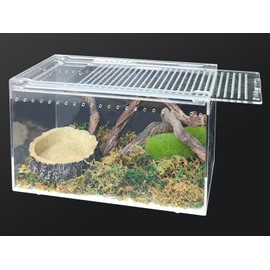 Apatal Acrylic Reptile Terrarium Enclosure 9.8" x 5.9" x 5.9" Magnetic Tarantula Breeding Box Transparent Insect Habitat for Jumping Spider Hermit Crab Lizard Sling Isopods Horned Frog Snake Gecko