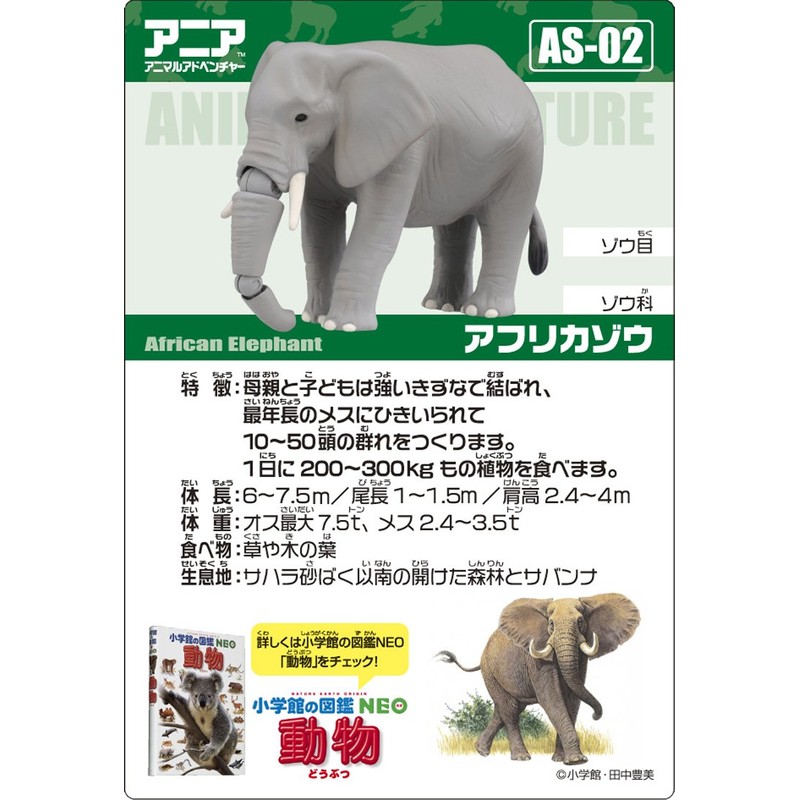 Ania AS-02 Elephant
