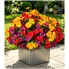6 Bundles UV Resistant Artificial Geraniums Indoor Outdoor Decor