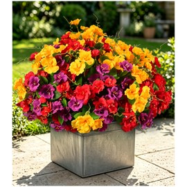 6 Bundles UV Resistant Artificial Geraniums Indoor Outdoor Decor