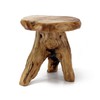 WELLAND Natural Cedar Stump Stool, 14" End Table, Live Edge