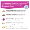 Lifeseasons Pausitivi-t Apoyo Para La Menopausia 60 Cápsulas Sabor Sin
