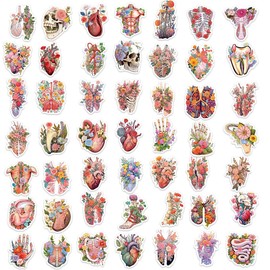 Human Body Organs Floral Stickers - 50Pcs Waterproof Vinyl Anatomy Medical Nurse Stickers for Water Bottles,Laptop,Computer,Refrigerator,Scrapbook
