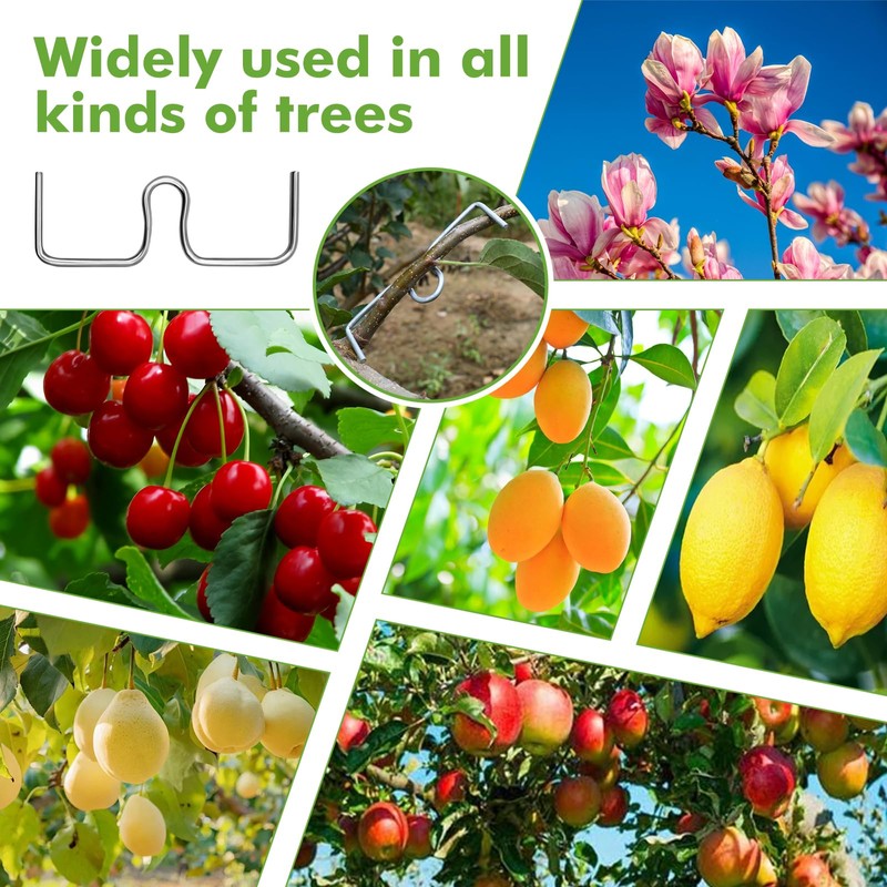LXYYDS Pack of 30 Branch Separators for Fruit Trees, (8/10/13