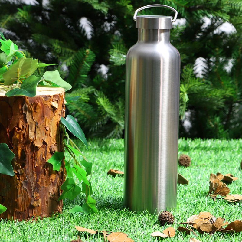 Robin Goods® Stainless Steel Drinking Bottle with Handle - High-Quality
