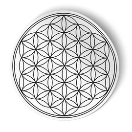 Squiddy Flower of Life - Vinyl Sticker for Car, Laptop, Notebook (4" Wide)