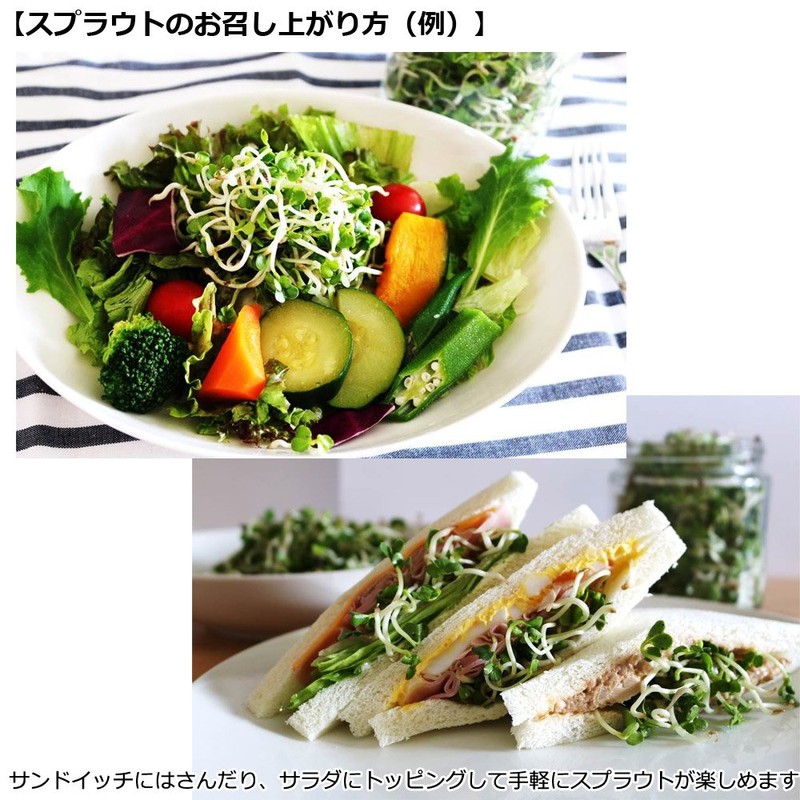 Green Field B006 Sprout Cultivation Set My Sprout (Bean Sprout