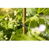 Windhager Trellis Wire Plant Wire Flower Wire Climbing Aid Trellis