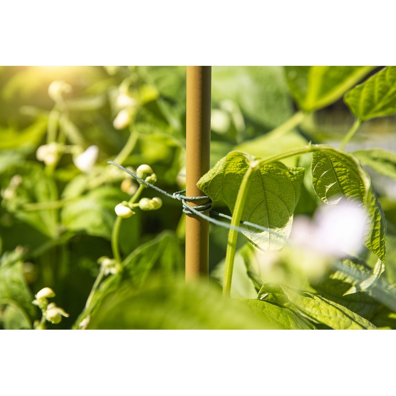 Windhager Trellis Wire Plant Wire Flower Wire Climbing Aid Trellis