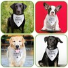 Happy Birthday Mommy Dog Bandana Pet Triangle Scarf for Large