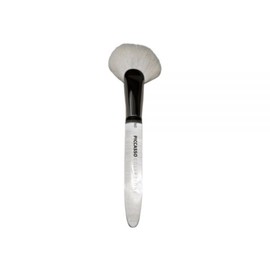 Picasso Makeup Tool Collezioni 160 Fan Blusher / 피카소 메이크업도구 꼴레지오니 160 팬 블러셔