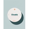[Missha] Cycadin Rescue Large Cushion Sun 25g / [미샤] 시카딘 레스큐 왕쿠션 선 25g