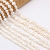 2 Strands Natural Pearl, Natural Freshwater Cultured Pearls 7-8 mm
