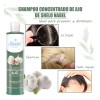 Shampoo Concentrado Ajo Seborrea Resequedad Cabello Graso