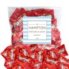 Skittles Fun Size Candy, 1 Pound Bag (Approx. 28 Pieces),