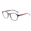 NORPERWIS 5 Pairs Reading Glasses - Standard Fit Spring Hinge