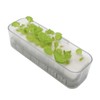 Living Farm Leaf LFS-025 Hydroponic Cultivation Seedling Making Kit