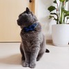 Cat Collar Breakaway with Bell and Bow Tie, Plaid Design